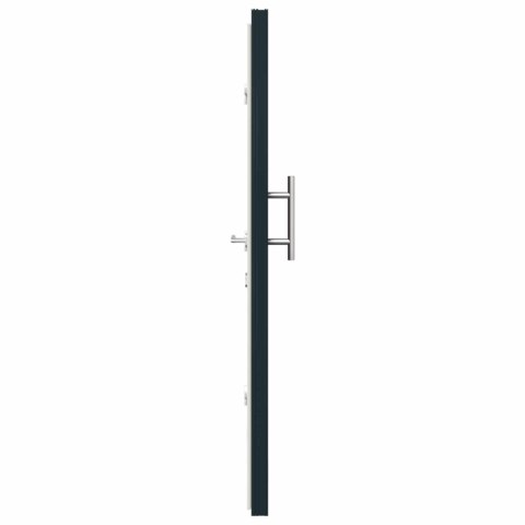 Drzwi Frontowe antracytowy 98 x 200 cm PVC