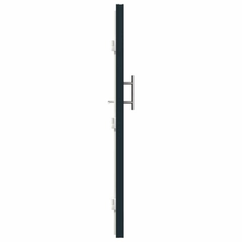 Drzwi Frontowe antracytowy 98 x 200 cm PVC