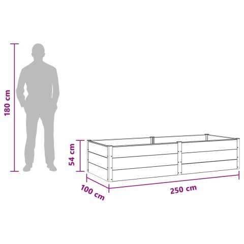 Podniesiona rabata ogrodowa Czarny 250 x 100 x 54 cm