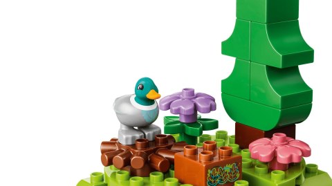 LEGO Duplo 10480 - Las odkrywców z dzikimi zwierzętami