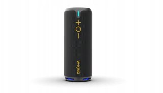Głośnik bezprzewodowy Bluetooth W-KING D320 czarny