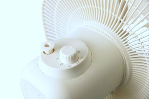 Wentylator stojący 40W Best Fan BT-002 MAESTRO