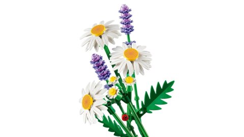 LEGO Botanical Collection 11508 - Stokrotki