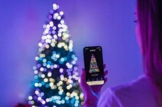 Twinkly Pre-lit Tree -1.50m Choinka, 270 RGB LED, zielony przewód, typ wtyczki C (OUTLET)