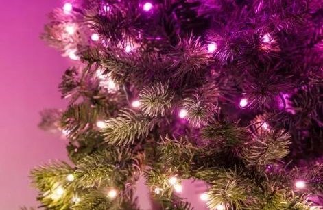 Twinkly Pre-lit Tree -1.50m Choinka, 270 RGB LED, zielony przewód, typ wtyczki C (OUTLET)