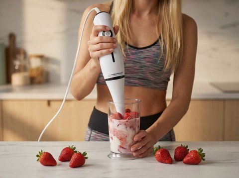 Blender ręczny Esperanza Frappe EKM001K (250W; kolor czarny)
