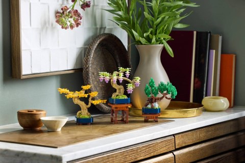 LEGO 10373 Botanical Collection - Małe drzewka Bonsai