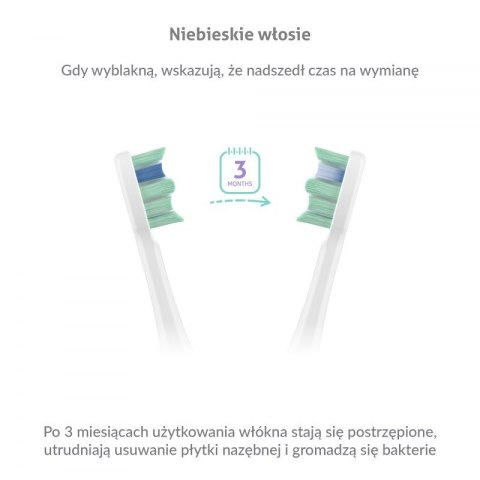Szczoteczka soniczna TrueLife SonicBrush Clean30 Duo