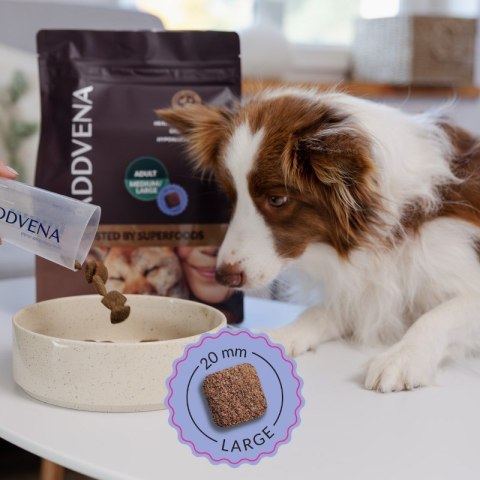 ADDVENA BOOSTED BY SUPERFOODS dorosłych psów 2,5kg