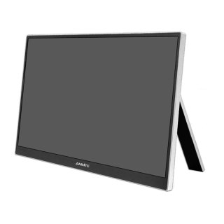Monitor przenośny ANMITE A160W04H 16"
