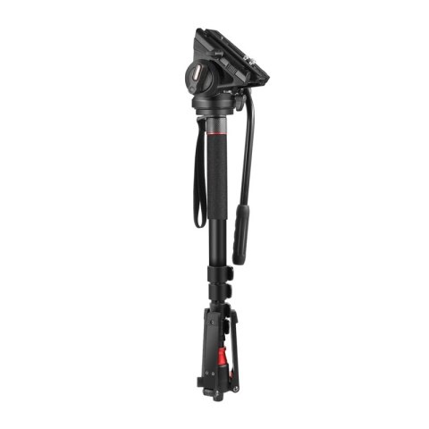 Statyw NEEWER GM76 179cm