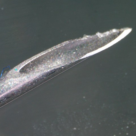Mikroskop stereoskopowy cyfrowy MAGUS Stereo D9T
