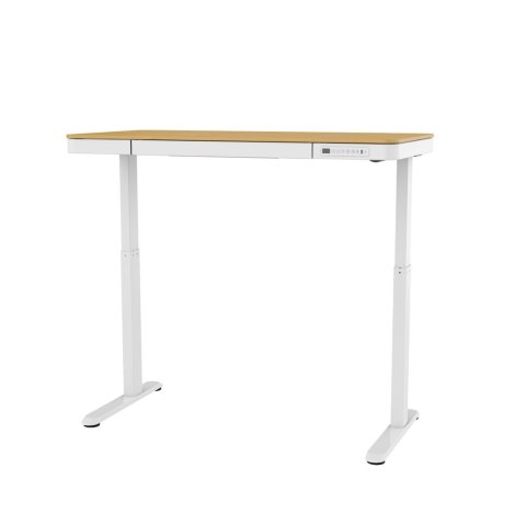 Biurko ACTIVEJET z el.reg.wys. 120x60 ET119S bi/dąd