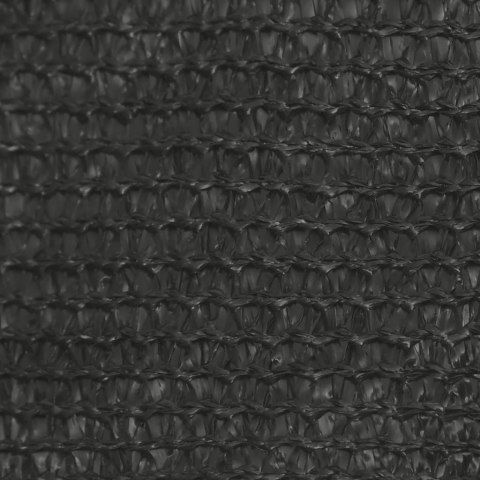Żagiel przeciwsloneczny, 160 g/m², antracytowy, 2,5x4 m, HDPE