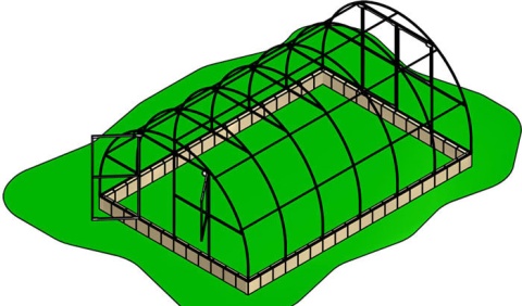 Szklarnia Primus 4x20m 80m2 H=230cm poliwęglan 6mm
