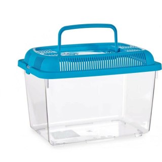 Akwarium Mascow Niebieski Plastikowy 3 L 17 x 16 x 24 cm Z uchwytem Średni (12 Sztuk)