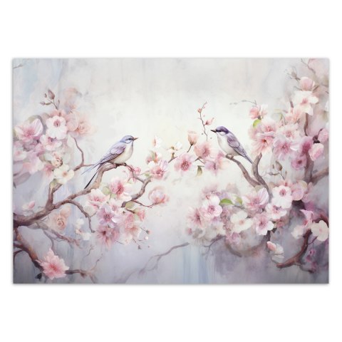 Fototapeta, Ptaki i kwiaty Shabby Chic - 450x315