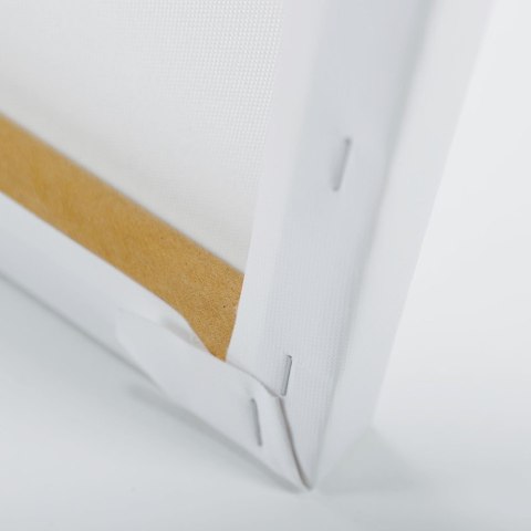 Obraz na płótnie, Pawie na tle księżyca - 100x70
