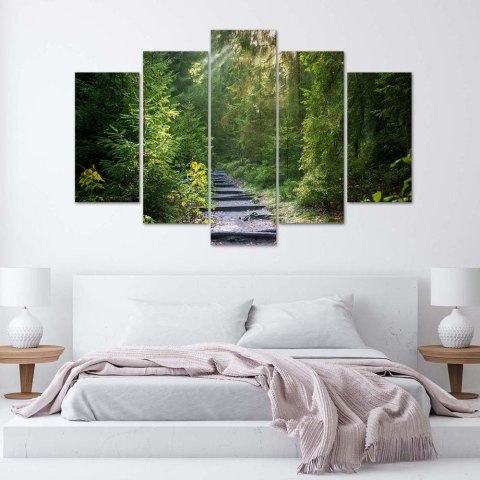 Obraz pięcioczęściowy na płótnie, Ścieżka w zielonym lesie - 150x100