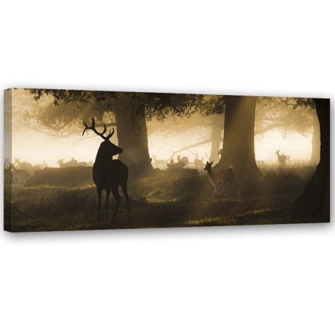 Obraz, Jelenie we mgle - 120x40