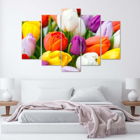Obraz pięcioczęściowy na płótnie, Kolorowe tulipany - 100x70