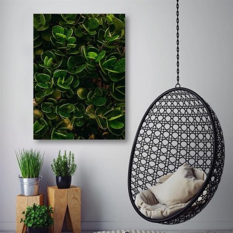 Obraz na płótnie, Egzotyczne zielone liście - 60x90