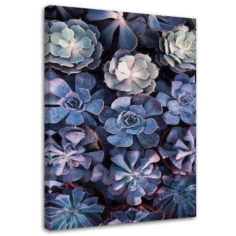 Obraz na płótnie, Shabby Chic kwiaty natura - 80x120