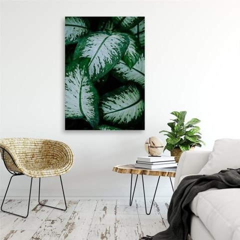 Obraz na płótnie, Tropikalne liście natura - 40x60