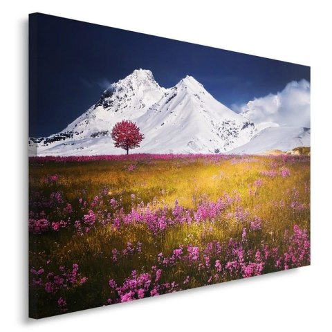 Obraz, Alpy - 60x40