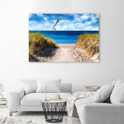 Obraz na płótnie, Ścieżka na plażę i mewa - 60x40