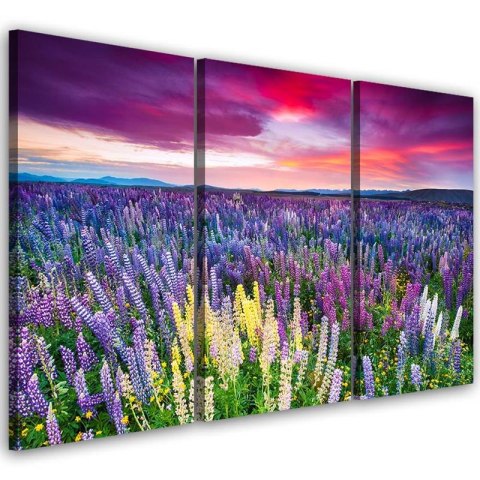 Obraz trzyczęściowy na płótnie, Kwiecista łąka - 120x80