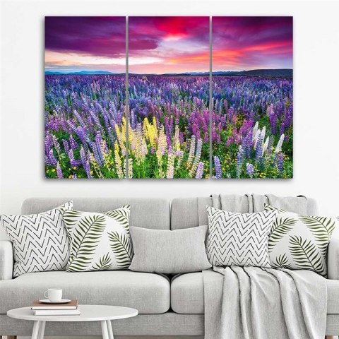 Obraz trzyczęściowy na płótnie, Kwiecista łąka - 90x60