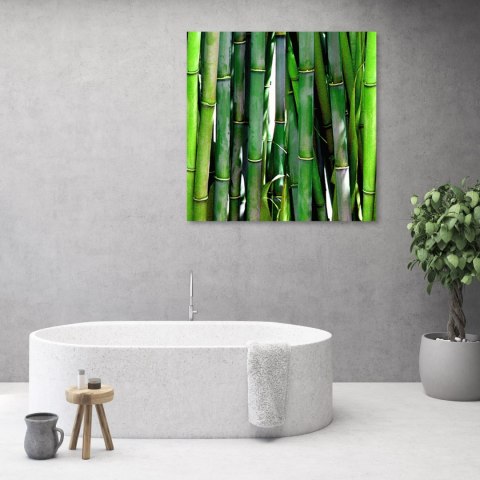 Obraz na płótnie, Zielone bambusy do biura - 50x50