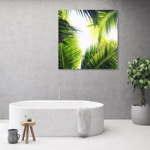 Obraz, Liście palmy - 60x60