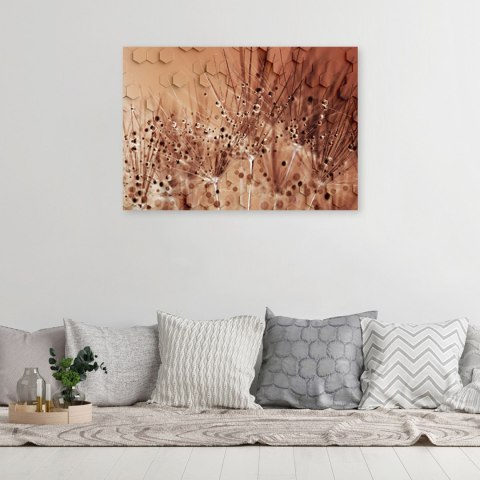 Obraz na płótnie, Dmuchawce w kroplach rosy - 100x70