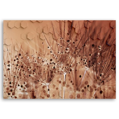 Obraz na płótnie, Dmuchawce w kroplach rosy - 120x80
