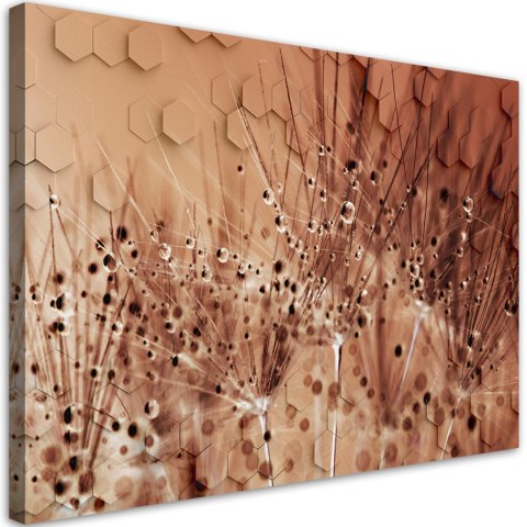 Obraz na płótnie, Dmuchawce w kroplach rosy - 60x40