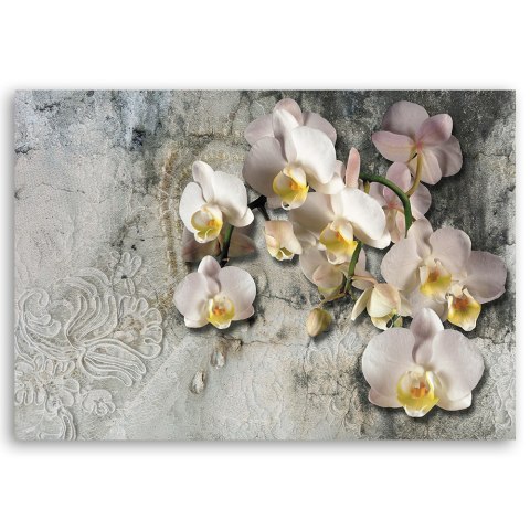 Obraz na płótnie, Słoneczne orchidee kwiaty - 100x70