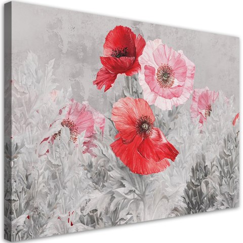 Obraz na płótnie, Czerwone maki na szarej łące - 60x40