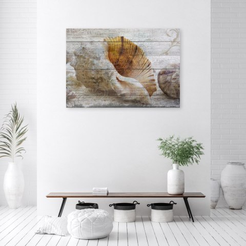 Obraz, Muszle w stylu vintage - 120x80