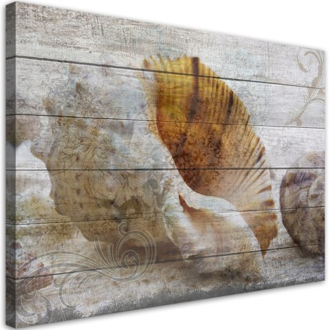 Obraz, Muszle w stylu vintage - 90x60