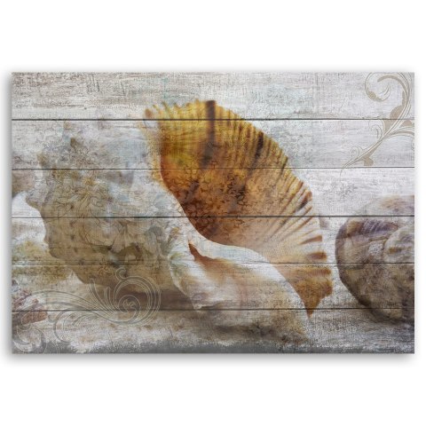 Obraz, Muszle w stylu vintage - 90x60