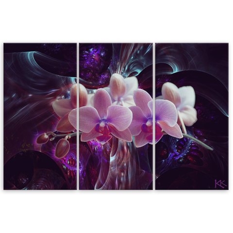 Obraz 3 częściowy na płótnie, Biała orchidea na ciemnym tle - 60x40