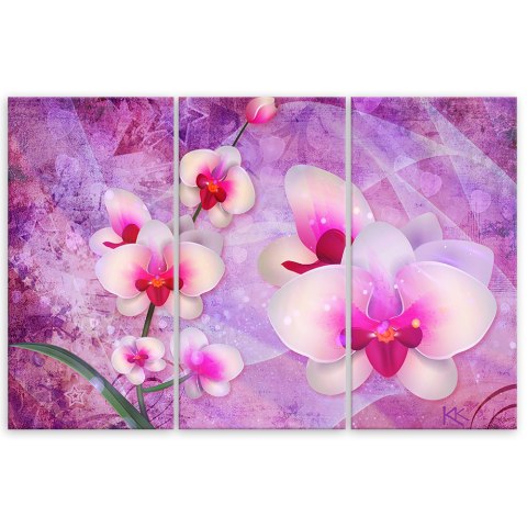 Obraz 3 częściowy na płótnie, Orchidea Kwiaty Abstrakcja - 90x60