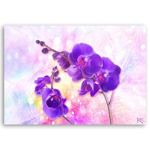 Obraz, Fioletowy kwiat orchidei - 120x80
