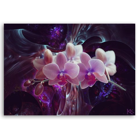 Obraz na płótnie, Biała orchidea na ciemnym tle - 100x70