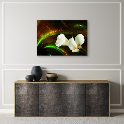 Obraz na płótnie, White flower on brown background - 120x80