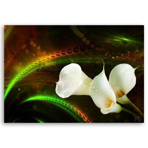 Obraz na płótnie, White flower on brown background - 120x80