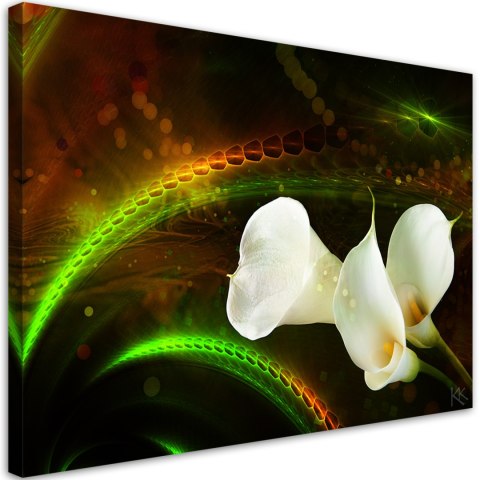 Obraz na płótnie, White flower on brown background - 60x40