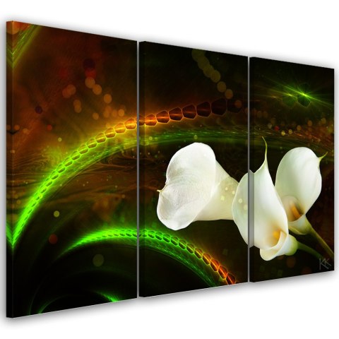 Obraz tryptyk na płótnie, White flower on brown background - 120x80